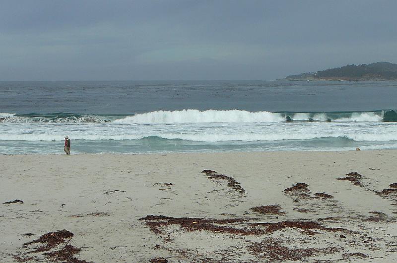 Carmel 10-30-08 248.jpg